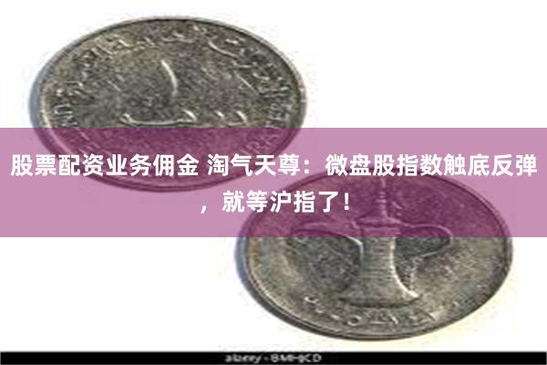 股票配资业务佣金 淘气天尊：微盘股指数触底反弹，就等沪指了！