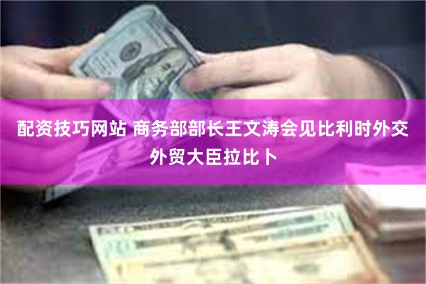 配资技巧网站 商务部部长王文涛会见比利时外交外贸大臣拉比卜