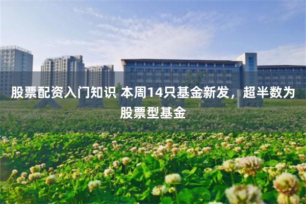 股票配资入门知识 本周14只基金新发，超半数为股票型基金