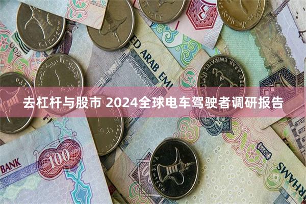 去杠杆与股市 2024全球电车驾驶者调研报告